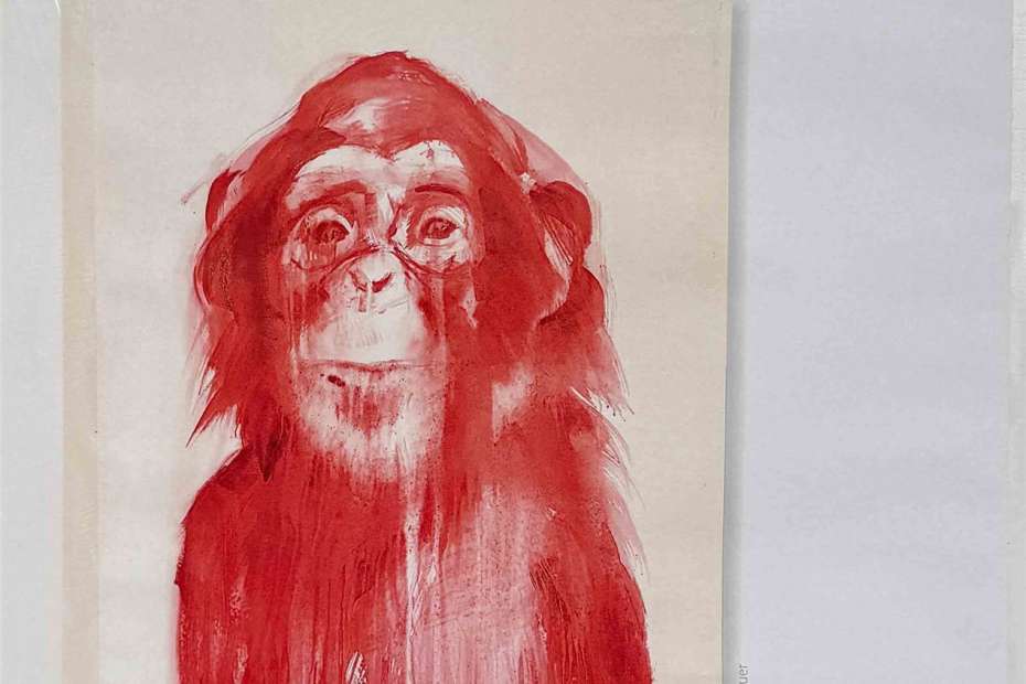 Anblicke, Ausblicke, Vielfalt und Einfalt,… KI nur am Rande, aber die Feuermelder sind schon an Bord. Rodgau Art 2025 – Mehr als Kunst!