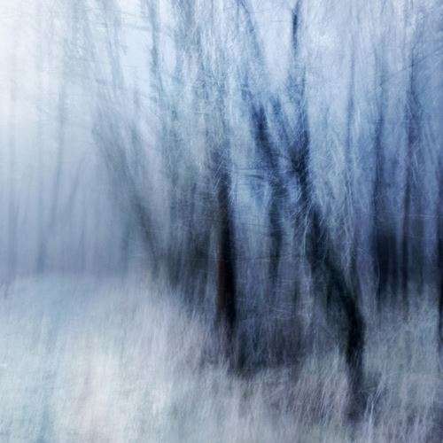 Dr. Olga Fritsche - Künstlerin bei CRELALA Kunst