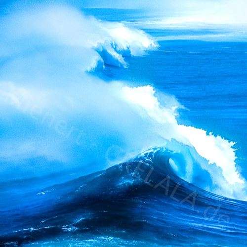 Rainer Mienert - Künstler bei CRELALA Kunst